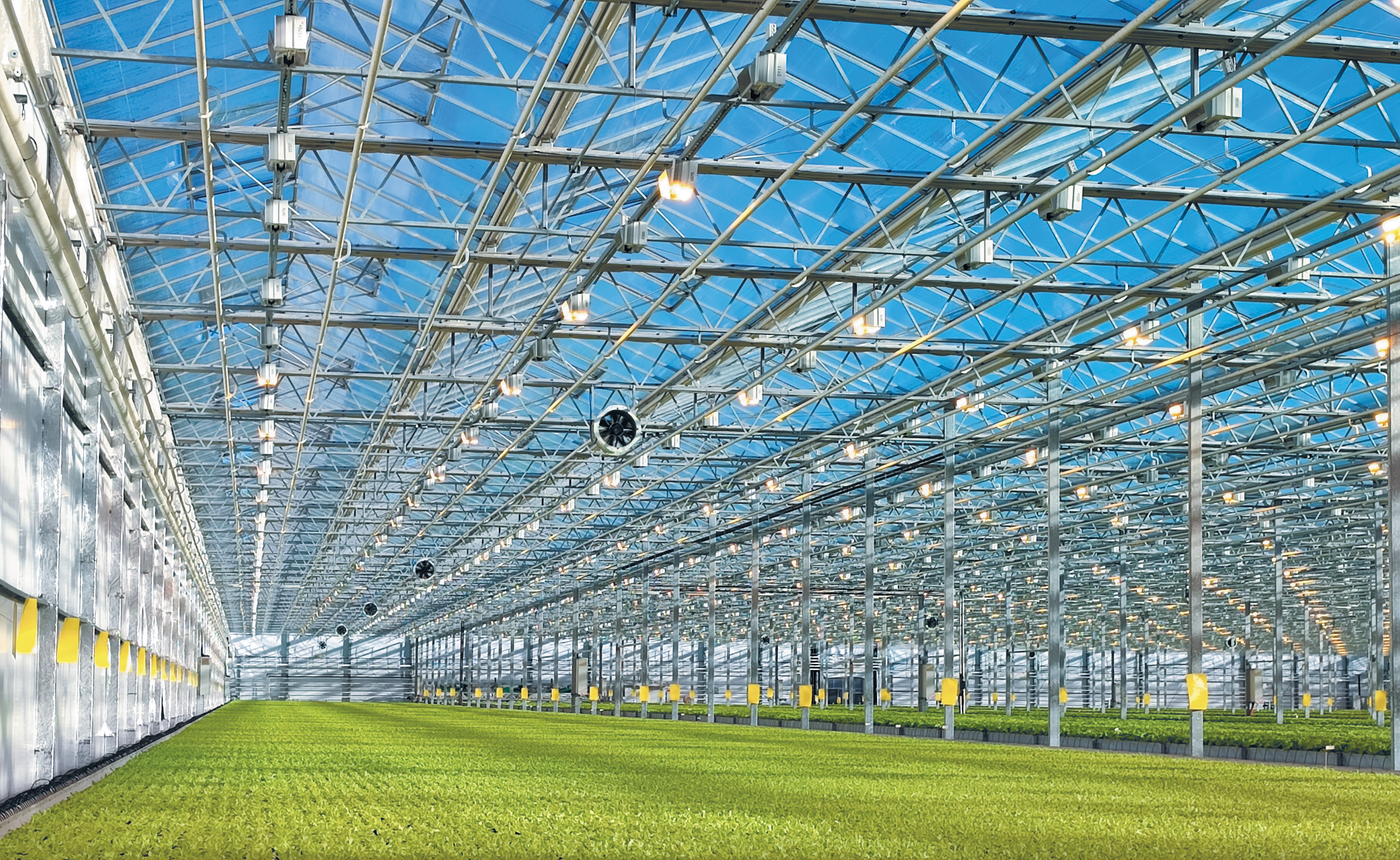 Агрокультура