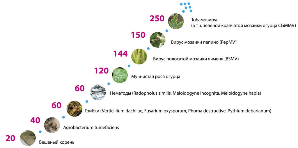 Рисунок 1. Эффективные УФ-дозы, характерные для некоторых возбудителей (в мДж/см2)