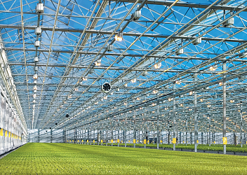 Агрокультура